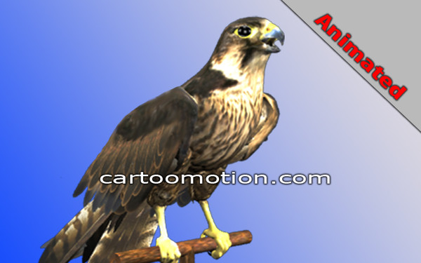 3d model falcon - Falcon 3d by cartoomotion
